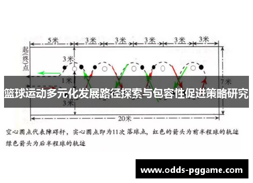 篮球运动多元化发展路径探索与包容性促进策略研究