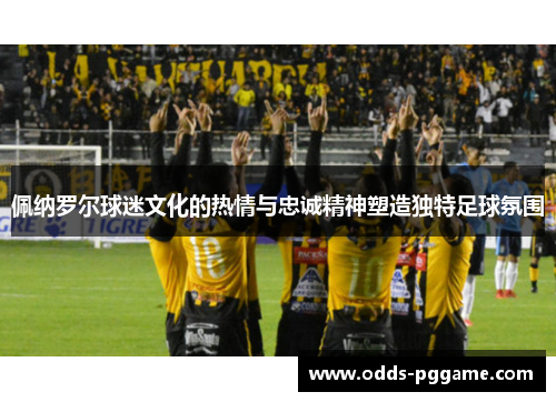 佩纳罗尔球迷文化的热情与忠诚精神塑造独特足球氛围