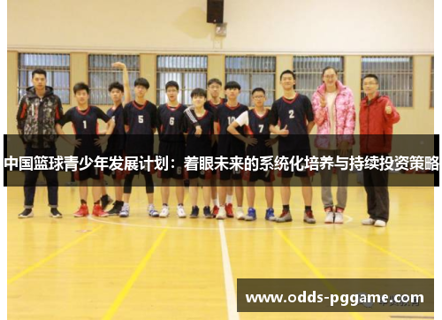 中国篮球青少年发展计划：着眼未来的系统化培养与持续投资策略