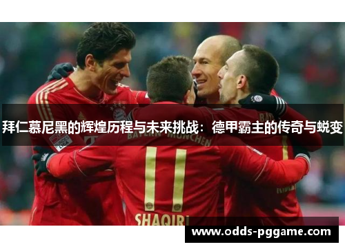 拜仁慕尼黑的辉煌历程与未来挑战：德甲霸主的传奇与蜕变