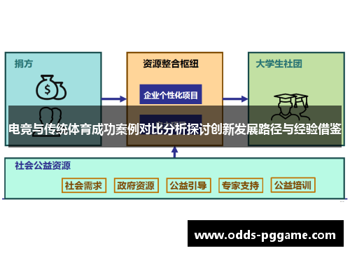 电竞与传统体育成功案例对比分析探讨创新发展路径与经验借鉴