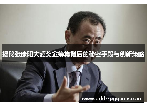 揭秘张康阳大额奖金筹集背后的秘密手段与创新策略