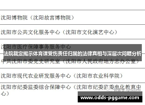 法院裁定揭示体育课受伤责任归属的法律真相与深层次问题分析