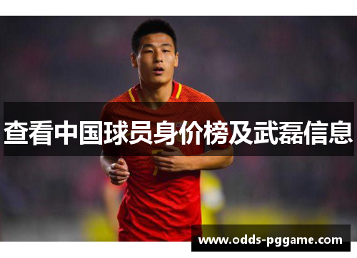 查看中国球员身价榜及武磊信息