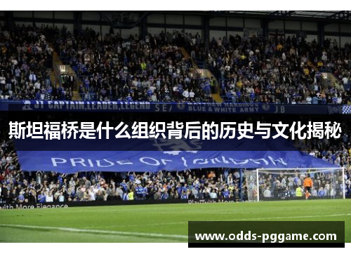 斯坦福桥是什么组织背后的历史与文化揭秘