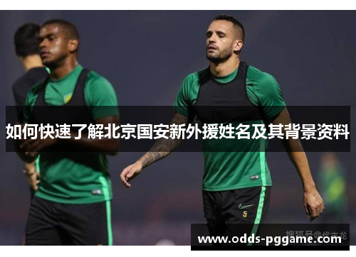 如何快速了解北京国安新外援姓名及其背景资料